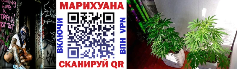 Бошки Шишки MAZAR  Купить закладки  Сергач 